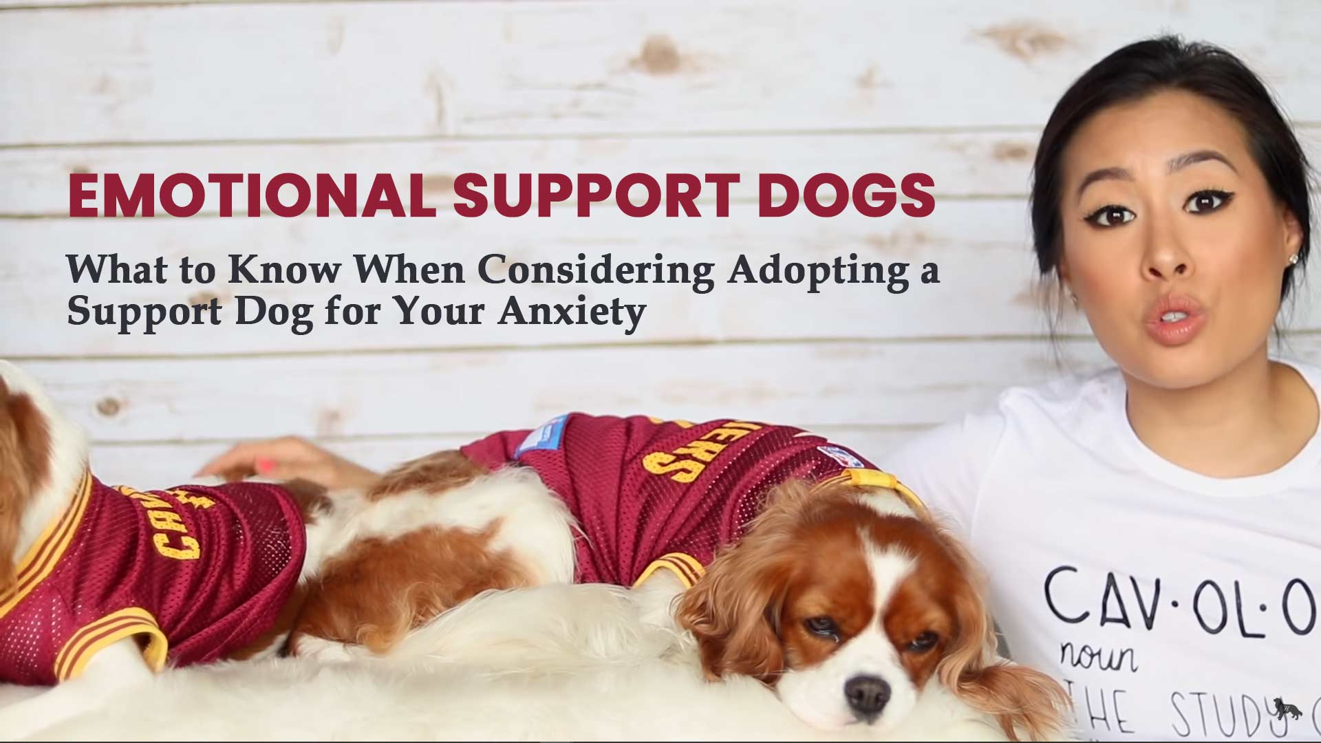 EMOTIONAL SUPPORT DOGS