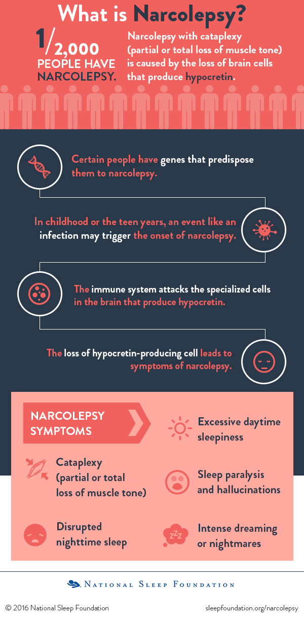 What causes narcolepsy?