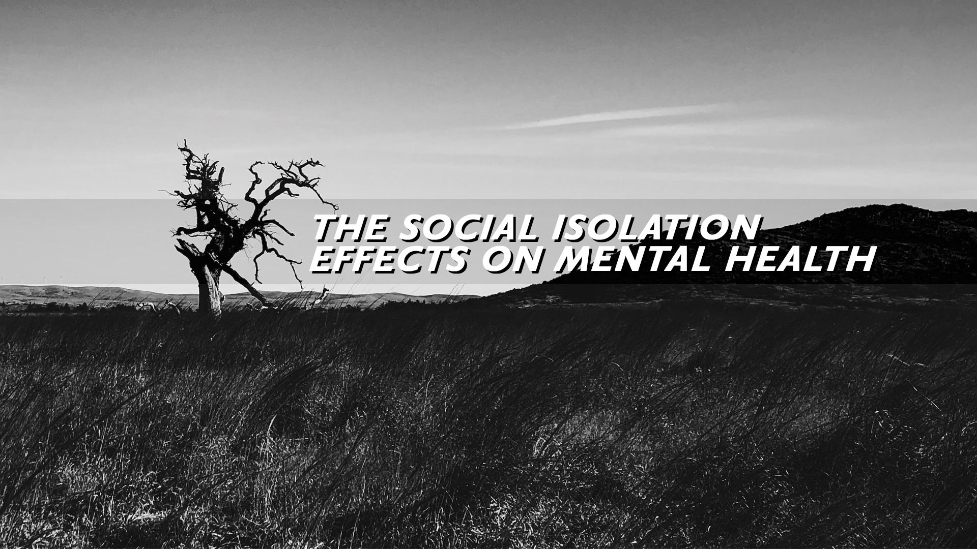 The Social Isolation Effects on Mental Health